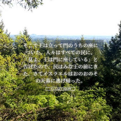 Picture 05 - サムエル記下 19:8 JPN - そこで王は立って門のうちの座につ - Bible Verse Picture