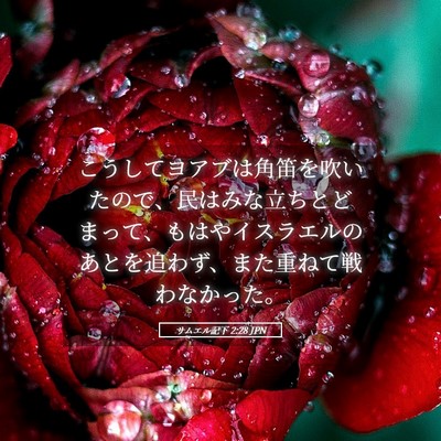 Picture 05 - サムエル記下 2:28 JPN - こうしてヨアブは角笛を吹いたので - Bible Verse Picture