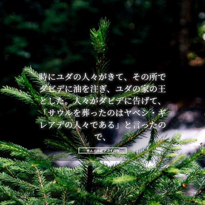 Picture 05 - サムエル記下 2:4 JPN - 時にユダの人々がきて、その所でダ - Bible Verse Picture