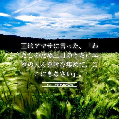 Picture 05 - サムエル記下 20:4 JPN - 王はアマサに言った、「わたしのた - Bible Verse Picture