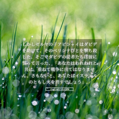 Picture 05 - サムエル記下 21:17 JPN - しかしゼルヤの子アビシャイはダビ - Bible Verse Picture