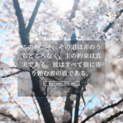 Picture 05 - サムエル記下 22:31 JPN - この神こそ、その道は非のうちどこ - Bible Verse Picture