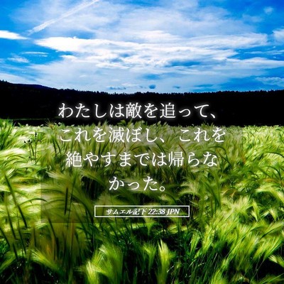 Picture 05 - サムエル記下 22:38 JPN - わたしは敵を追って、これを滅ぼし - Bible Verse Picture