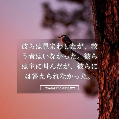 Picture 05 - サムエル記下 22:42 JPN - 彼らは見まわしたが、救う者はいな - Bible Verse Picture