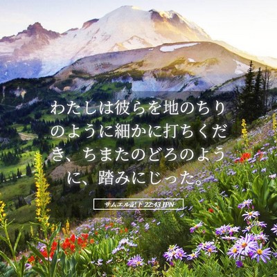 Picture 05 - サムエル記下 22:43 JPN - わたしは彼らを地のちりのように細 - Bible Verse Picture