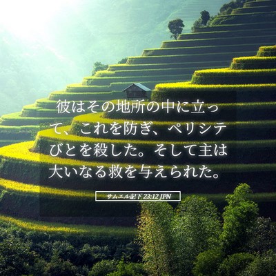 Picture 05 - サムエル記下 23:12 JPN - 彼はその地所の中に立って、これを - Bible Verse Picture