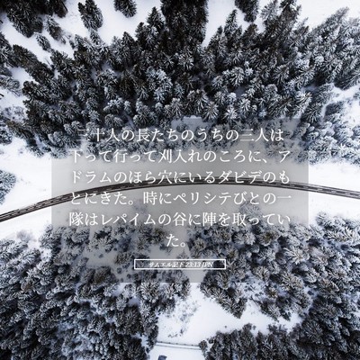 Picture 05 - サムエル記下 23:13 JPN - 三十人の長たちのうちの三人は下っ - Bible Verse Picture