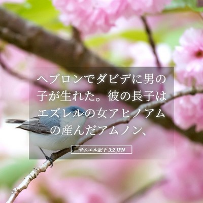 Picture 05 - サムエル記下 3:2 JPN - ヘブロンでダビデに男の子が生れた - Bible Verse Picture