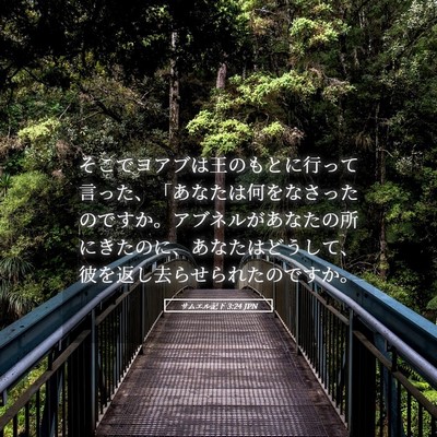 Picture 05 - サムエル記下 3:24 JPN - そこでヨアブは王のもとに行って言 - Bible Verse Picture