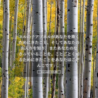 Picture 05 - サムエル記下 3:25 JPN - ネルの子アブネルがあなたを欺くた - Bible Verse Picture