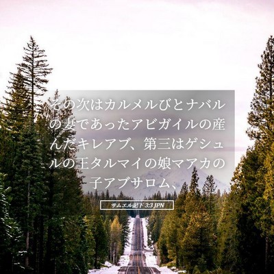 Picture 05 - サムエル記下 3:3 JPN - その次はカルメルびとナバルの妻で - Bible Verse Picture