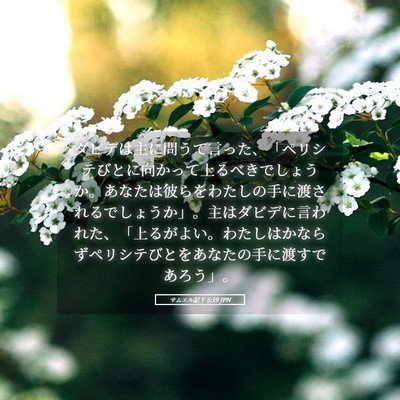 Picture 05 - サムエル記下 5:19 JPN - ダビデは主に問うて言った、「ペリ - Bible Verse Picture