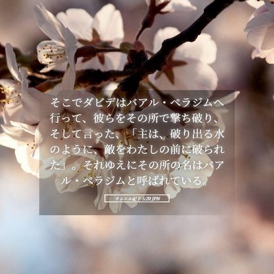 Picture 05 - サムエル記下 5:20 JPN - そこでダビデはバアル・ペラジムへ - Bible Verse Picture