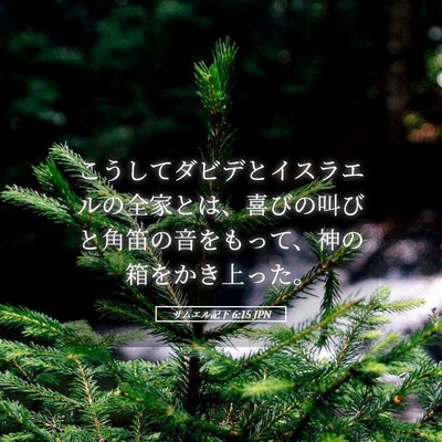 Picture 05 - サムエル記下 6:15 JPN - こうしてダビデとイスラエルの全家 - Bible Verse Picture