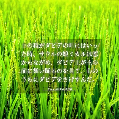 Picture 05 - サムエル記下 6:16 JPN - 主の箱がダビデの町にはいった時、 - Bible Verse Picture