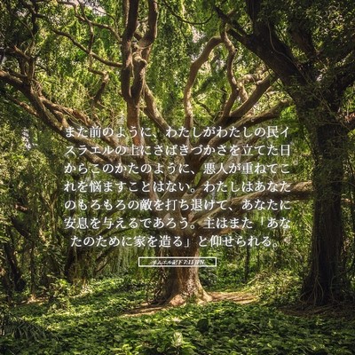 Picture 05 - サムエル記下 7:11 JPN - また前のように、わたしがわたしの - Bible Verse Picture