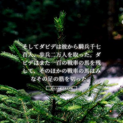 Picture 05 - サムエル記下 8:4 JPN - そしてダビデは彼から騎兵千七百人 - Bible Verse Picture
