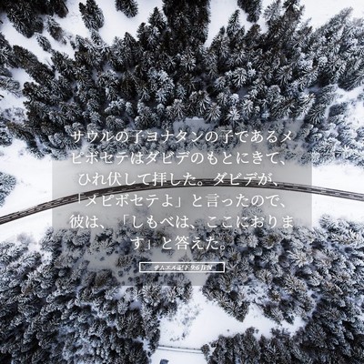 Picture 05 - サムエル記下 9:6 JPN - サウルの子ヨナタンの子であるメピ - Bible Verse Picture