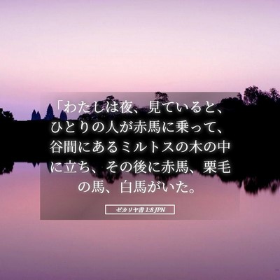 Picture 05 - ゼカリヤ書 1:8 JPN - 「わたしは夜、見ていると、ひとり - Bible Verse Picture