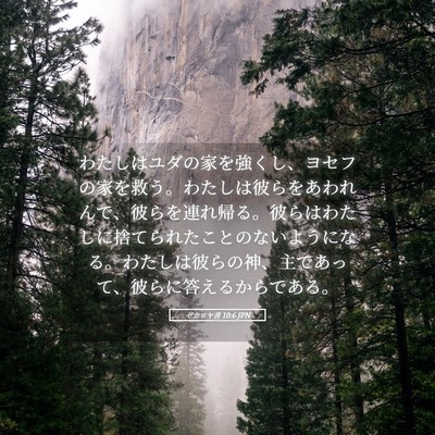 Picture 05 - ゼカリヤ書 10:6 JPN - わたしはユダの家を強くし、ヨセフ - Bible Verse Picture