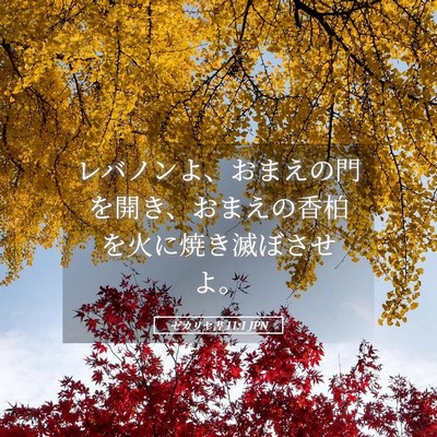 Picture 05 - ゼカリヤ書 11:1 JPN - レバノンよ、おまえの門を開き、お - Bible Verse Picture