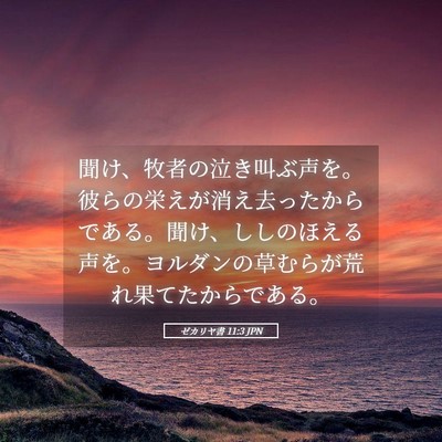 Picture 05 - ゼカリヤ書 11:3 JPN - 聞け、牧者の泣き叫ぶ声を。彼らの - Bible Verse Picture