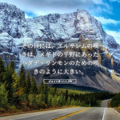 Picture 05 - ゼカリヤ書 12:11 JPN - その日には、エルサレムの嘆きは、 - Bible Verse Picture