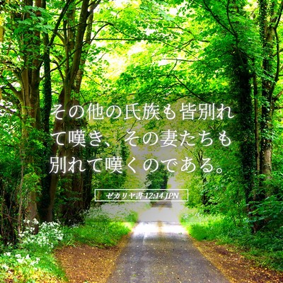 Picture 05 - ゼカリヤ書 12:14 JPN - その他の氏族も皆別れて嘆き、その - Bible Verse Picture