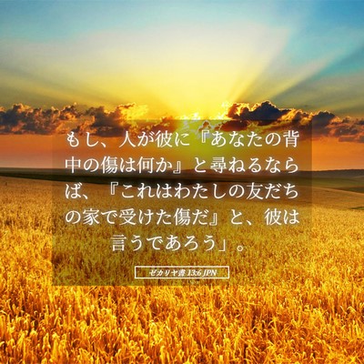 Picture 05 - ゼカリヤ書 13:6 JPN - もし、人が彼に『あなたの背中の傷 - Bible Verse Picture
