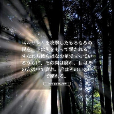 Picture 05 - ゼカリヤ書 14:12 JPN - エルサレムを攻撃したもろもろの民 - Bible Verse Picture