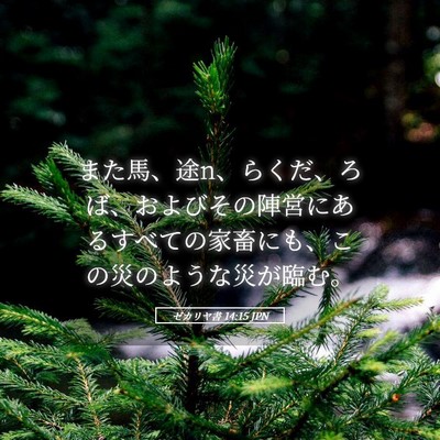Picture 05 - ゼカリヤ書 14:15 JPN - また馬、途n、らくだ、ろば、および - Bible Verse Picture