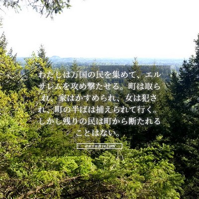 Picture 05 - ゼカリヤ書 14:2 JPN - わたしは万国の民を集めて、エルサ - Bible Verse Picture