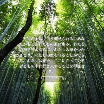 Picture 05 - ゼカリヤ書 3:7 JPN - 「万軍の主は、こう仰せられる、あ - Bible Verse Picture