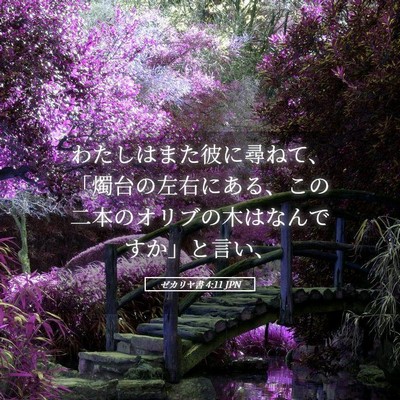 Picture 05 - ゼカリヤ書 4:11 JPN - わたしはまた彼に尋ねて、「燭台の - Bible Verse Picture