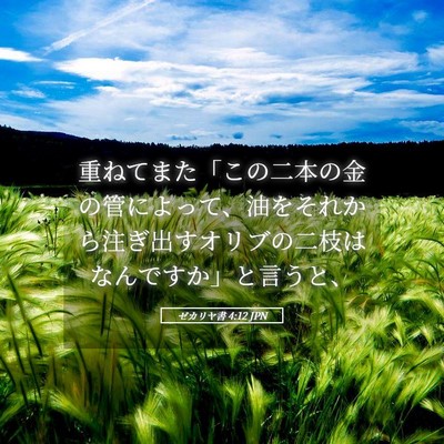 Picture 05 - ゼカリヤ書 4:12 JPN - 重ねてまた「この二本の金の管によ - Bible Verse Picture