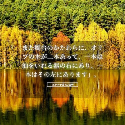 Picture 05 - ゼカリヤ書 4:3 JPN - また燭台のかたわらに、オリブの木 - Bible Verse Picture