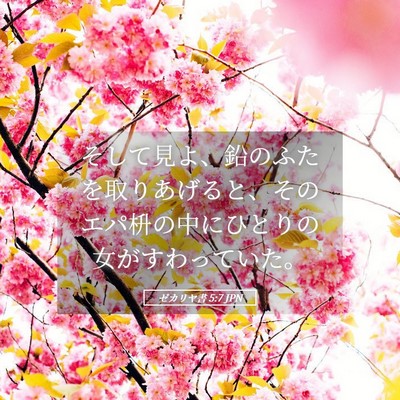 Picture 05 - ゼカリヤ書 5:7 JPN - そして見よ、鉛のふたを取りあげる - Bible Verse Picture