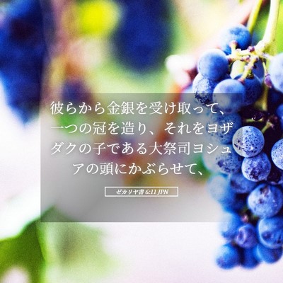 Picture 05 - ゼカリヤ書 6:11 JPN - 彼らから金銀を受け取って、一つの - Bible Verse Picture