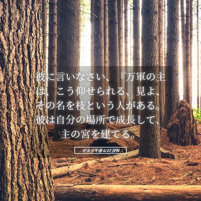 Picture 05 - ゼカリヤ書 6:12 JPN - 彼に言いなさい、『万軍の主は、こ - Bible Verse Picture
