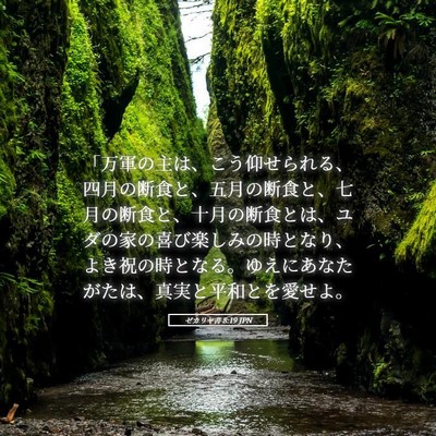 Picture 05 - ゼカリヤ書 8:19 JPN - 「万軍の主は、こう仰せられる、四 - Bible Verse Picture