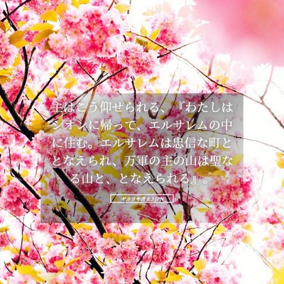 Picture 05 - ゼカリヤ書 8:3 JPN - 主はこう仰せられる、『わたしはシ - Bible Verse Picture