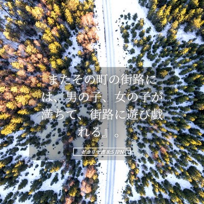 Picture 05 - ゼカリヤ書 8:5 JPN - またその町の街路には、男の子、女 - Bible Verse Picture