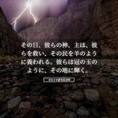 Picture 05 - ゼカリヤ書 9:16 JPN - その日、彼らの神、主は、彼らを救 - Bible Verse Picture