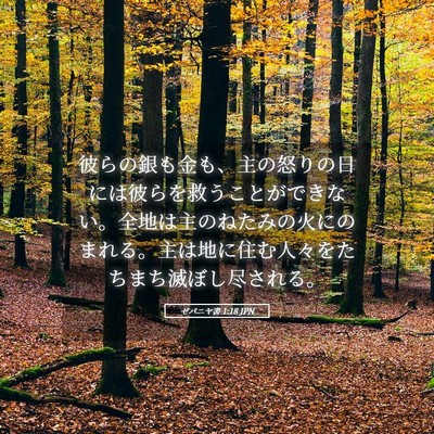 Picture 05 - ゼパニヤ書 1:18 JPN - 彼らの銀も金も、主の怒りの日には - Bible Verse Picture
