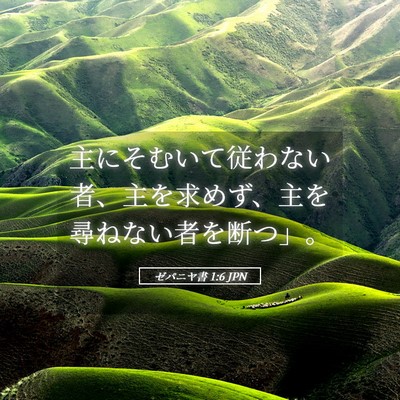 Picture 05 - ゼパニヤ書 1:6 JPN - 主にそむいて従わない者、主を求め - Bible Verse Picture