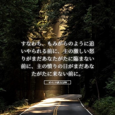 Picture 05 - ゼパニヤ書 2:2 JPN - すなわち、もみがらのように追いや - Bible Verse Picture
