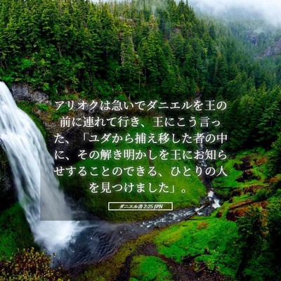 Picture 05 - ダニエル書 2:25 JPN - アリオクは急いでダニエルを王の前 - Bible Verse Picture