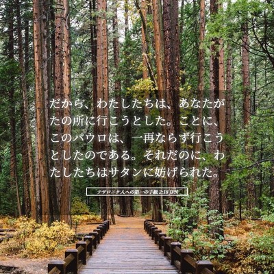 Picture 05 - テサロニケ人への第一の手紙 2:18 JPN - だから、わたしたちは、あなたがた - Bible Verse Picture