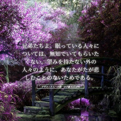 Picture 05 - テサロニケ人への第一の手紙 4:13 JPN - 兄弟たちよ。眠っている人々につい - Bible Verse Picture
