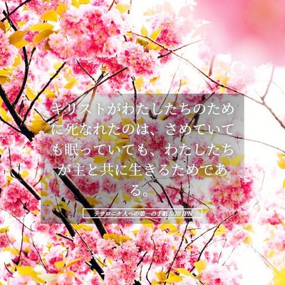 Picture 05 - テサロニケ人への第一の手紙 5:10 JPN - キリストがわたしたちのために死な - Bible Verse Picture